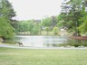 Image11744