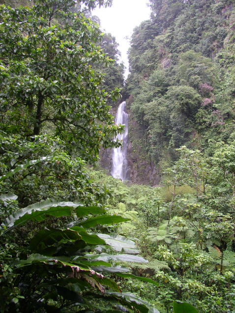 CaribbeanCruiseDownload 059