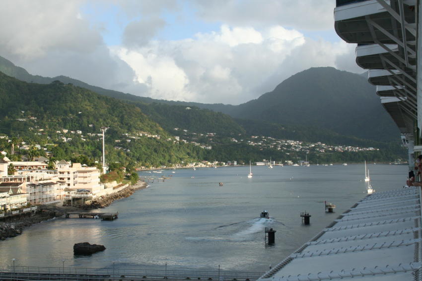 Image8550