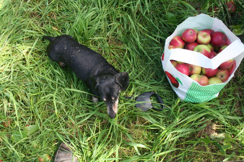 Image7195